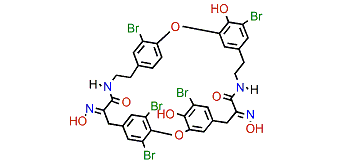 Bastadin 19